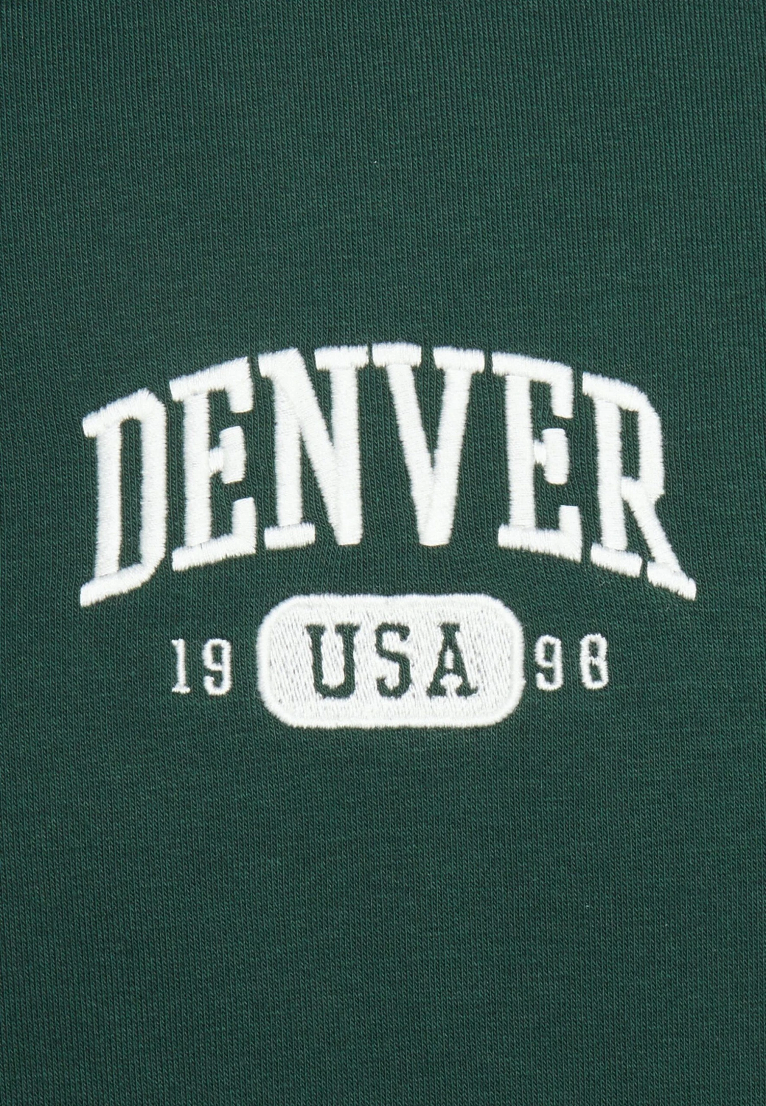Pier One Denver College Hoodie- Sudadera - Green 3 Pier One Denver College Hoodie- Sudadera - Green - Imagen 3